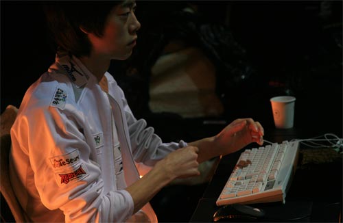 金环蛇